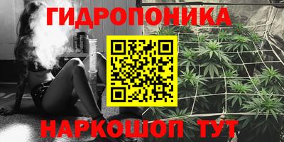 стаф Пенза