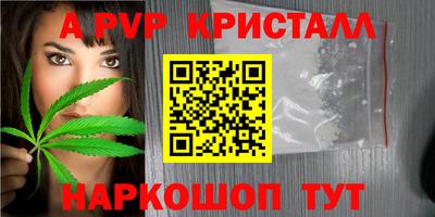 стаф Пенза